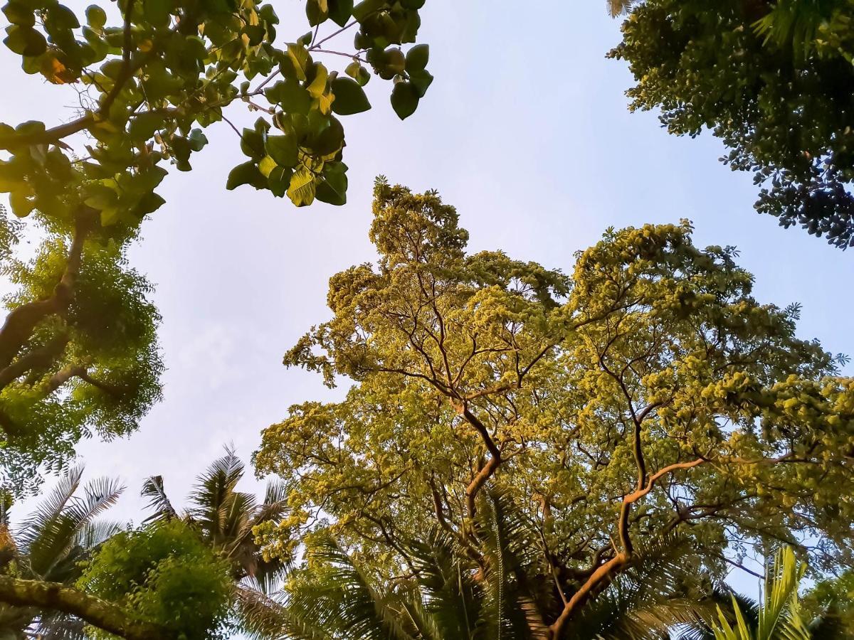 โคโค่โลโค่ บีช รีสอร์ท Manoc-Manoc ภายนอก รูปภาพ